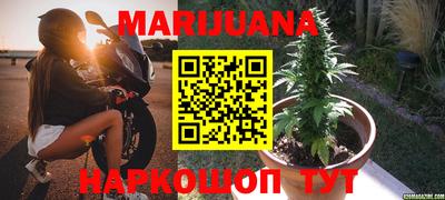 Альфа ПВП Берёзовский