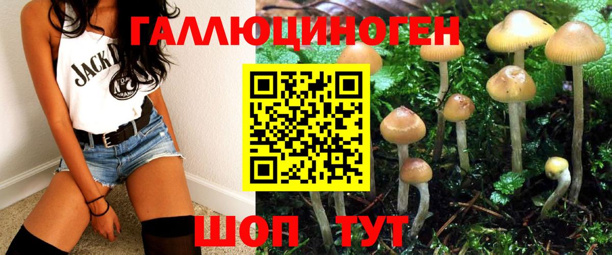 Галлюциногенные грибы ЛСД Баксан